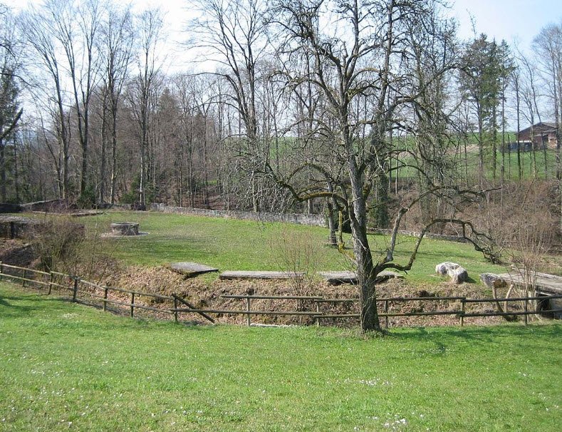 Burgruine Friedberg, Meilen, Switzerland, Switzerland